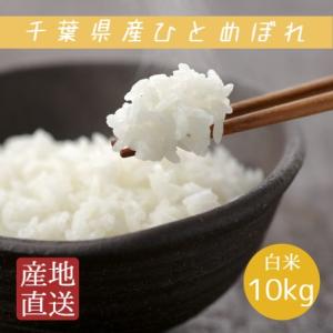 米 お米 白米 10kg 5kg×2袋 令和5年産 ひとめぼれ 本州四国 送料無料 ヒトメボレ