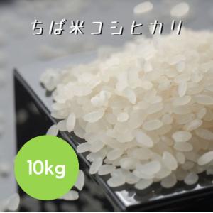 コシヒカリ 令和7年産 千葉県産 多古米 白米 15kg 5kg×3袋 本州四国