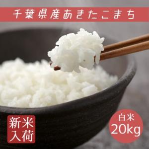 米 お米 白米 20kg 5kg×4袋 令和5年産 あきたこまち 本州四国 送料無料 アキタコマチ ...