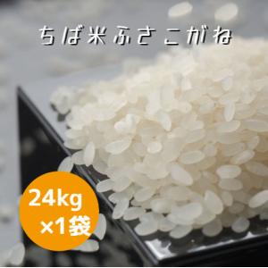 コシヒカリ 令和7年産 千葉県産 八日市場米 白米 24kg (8kg×3袋) 本州