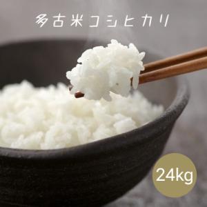新米 令和7年産 千葉県産 多古米 コシヒカリ 白米 24kg (8kg×3袋) 本州四国 送料無料...