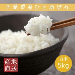 米 お米 白米 5kg 令和5年産 ひとめぼれ 本州四国 送料無料 ヒトメボレ