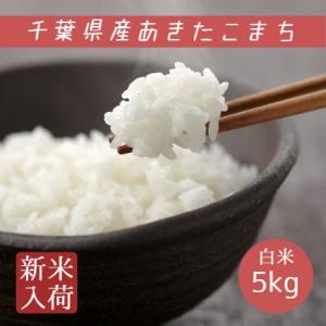 新米 令和7年産 米 お米 あきたこまち 白米 5kg 本州四国 送料無料 アキタコマチ 秋田小町 ...