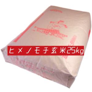 米 お米 玄米 もち米 25kg ×1袋 ヒメノモチ 令和4年産 本州四国 送料無料 小分け不可 綺麗仕上 異物除去 石抜き済 30kg ⇒25kgへ変更 モチ米 餅米｜isobekomeya