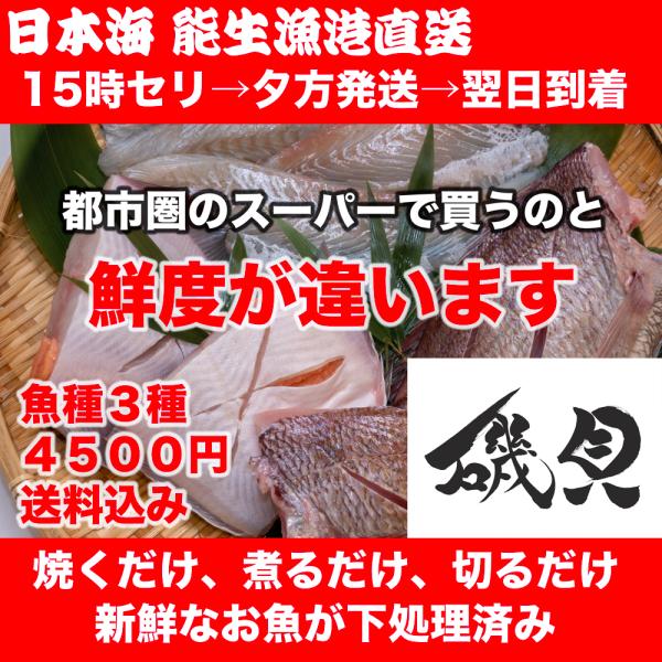 海鮮BOX 鮮魚 ボックス セット 直送 詰め合わせ 下処理 魚種３種 4500円 送料込み