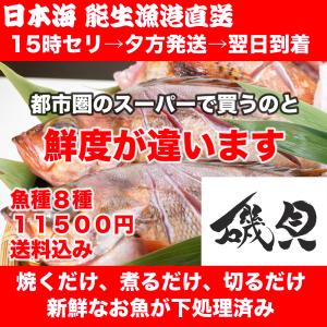 海鮮BOX 鮮魚 ボックス セット 直送 詰め合わせ 下処理 魚種８種 11500円 送料込み