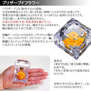 お中元 夏ギフト 誕生日 プレゼント ギフト ...の詳細画像1