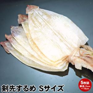業務用 剣先スルメ５枚（お手頃Sサイズ）天日干旨み凝縮