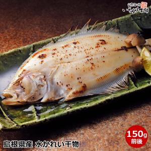 水かれい旬干（大）1枚150g前後ネット限定産地直送の高級魚の干物【お取り寄せグルメ】【日本海 山陰 浜田産 水カレイ】