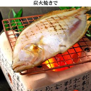水かれい旬干(大)1枚150g前後ネット限定産...の詳細画像4
