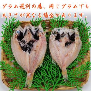 お中元 夏ギフト 誕生日 プレゼント ギフト ...の詳細画像1