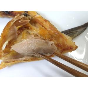 訳あり 無塩 秋鮭カマ（かま）　1kg（北海道産　秋鮭オス）