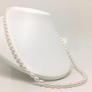 TASAKI（タサキ） 【送料無料】タサキ 田崎真珠 アコヤパール約8.5-8.8