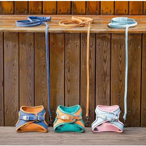 猫 ハーネス リード 散歩 ダブルロック カラフル