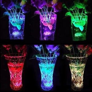 LED潜水ライト 水槽照明 バスライト リモコ...の詳細画像5