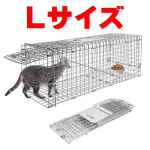 猫用アニマルキャッチャー捕獲器 楽天市場】送料無料！猫 捕獲器 捕獲器 踏板式 動物用捕獲器