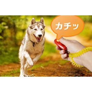 犬 クリッカー しつけ クリッカートレーニング 犬笛 無駄吠え防止 躾