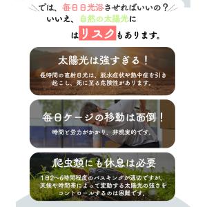 新品タイマー機能付き登場!両生類用ライト 爬虫...の詳細画像2