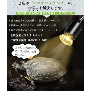 新品タイマー機能付き登場!両生類用ライト 爬虫...の詳細画像3