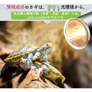 新品タイマー機能付き登場!両生類用ライト 爬虫...の詳細画像5