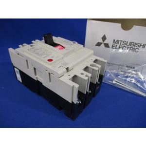 漏電遮断器 3P3E50A 30ｍA NV63-CV3P3E50A30mA