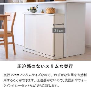 ISSEIKI 公式 カウンター 収納 キッチ...の詳細画像4