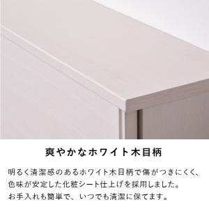 ISSEIKI 公式 カウンター 収納 キッチ...の詳細画像5