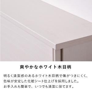 ISSEIKI 公式 カウンター 収納 キッチ...の詳細画像5