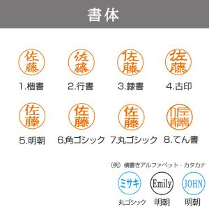 調剤済印 シャチハタ データーネーム EX15...の詳細画像5