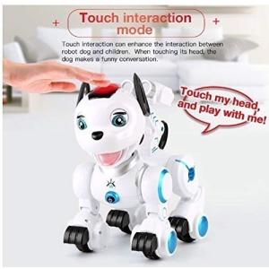 電子ペット 犬 レンタル 各種サービス の商品一覧 通販 Yahoo ショッピング