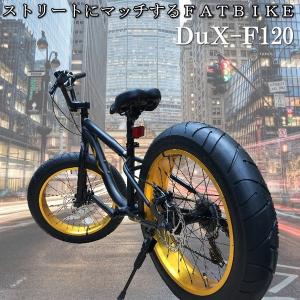 ファットバイク 7段変速 20インチ 迫力の極太 Wディスクブレーキ 3D立体フレーム SHIMANO TX50 20x4.1/4 FATBIKE SNOWBIKE DuXデュークスF120