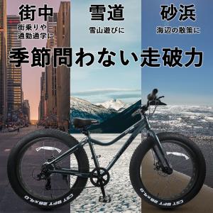 迫力の極太タイヤ4.0インチ ! ファットバイ...の詳細画像1