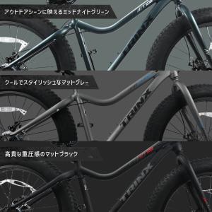 迫力の極太タイヤ4.0インチ ! ファットバイ...の詳細画像3