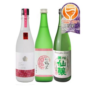 日本酒 WGO 2024 プレミアム純米部門 金賞 3本 飲み比べセット 720ml 仁喜多津 越乃梅里 黒松仙醸 ワイングラスでおいしい日本酒アワード 既発売｜isshusouden-2