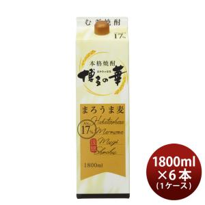 いいちこ パーソン 25度 300ml 12本 1ケース 三和酒類 焼酎 麦焼酎 お