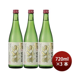 日本酒 常きげん 山廃純米吟醸 720ml 3本 鹿野酒造 ギフト 新生活 入学祝い 卒業祝い 就職祝い 進学祝い