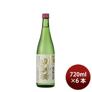 日本酒 常きげん 山廃純米吟醸 720ml 6本 鹿野酒造 ギフト 新生活 入学祝い 卒業祝い 就職祝い 進学祝い