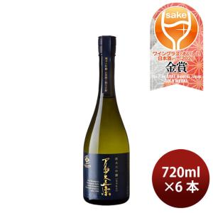 日本酒 アルプス正宗 純米大吟醸 山恵錦 カートン入り 720ml 6本 亀田屋酒造店 ギフト WGO 既発売