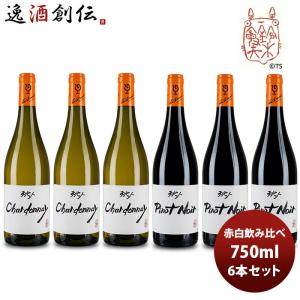 ワイン フライングシープ 定番2種 赤白 2本飲み比べセット 750ml 大沢