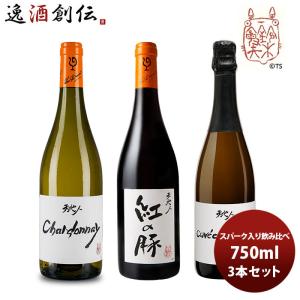 ワイン フライングシープ 定番2種 赤白 2本飲み比べセット 750ml 大沢