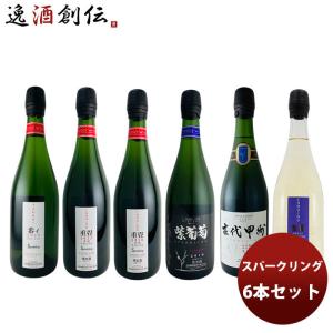 ワインセット 飲み比べ 激安！！シャンパーニュ入り スパークリング