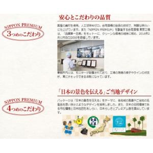 チューハイ NIPPON PREMIUM 千葉...の詳細画像3
