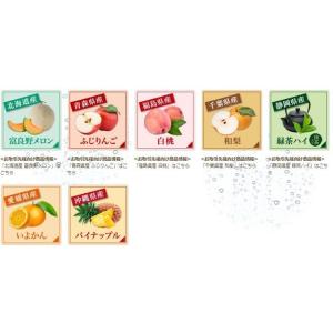 チューハイ NIPPON PREMIUM 千葉...の詳細画像5