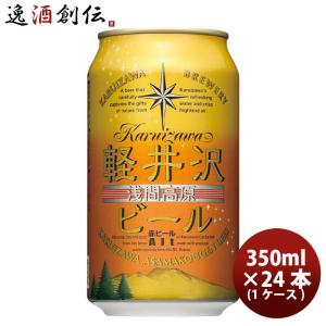ビール 新潟県 エチゴビール スタウト クラフトビール 缶 350ml 48本(2