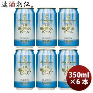 ビール 新潟県 エチゴビール スタウト クラフトビール 缶 350ml 48本(2