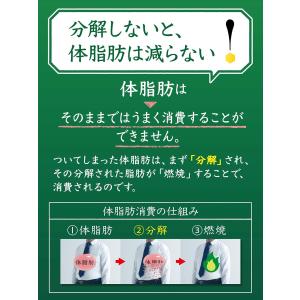 サントリー 特茶 カフェインZERO PET ...の詳細画像3