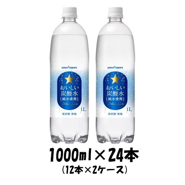 飲料水 おいしい炭酸水 ポッカサッポロ 1000ml 24本 (12本×2ケース)