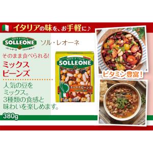 日欧 ソル・レオーネ ミックスビーンズ 390...の詳細画像1