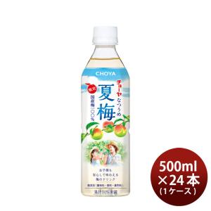 CHOYA 五年の宴 700ml 2本 チョーヤ 梅酒 蝶矢 南高梅原酒 父の日