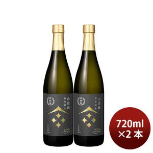 日本酒 月桂冠 山田錦 特別純米 720ml 2本 瓶 WGO ギフト